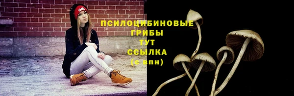 спиды Михайлов